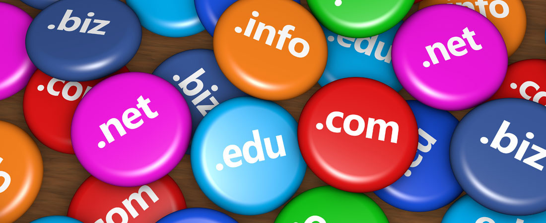Web Hosting and Domain Services